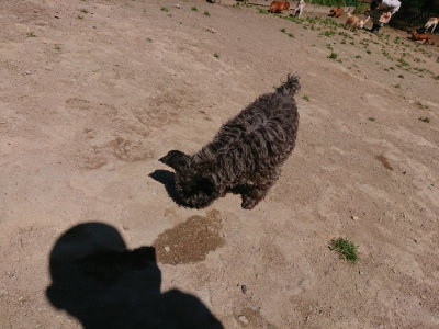 f:id:roukenhome-ann:20190509141007j:plain