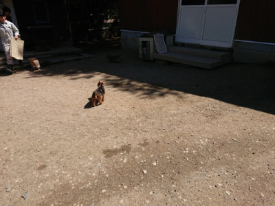 f:id:roukenhome-ann:20190509141011j:plain