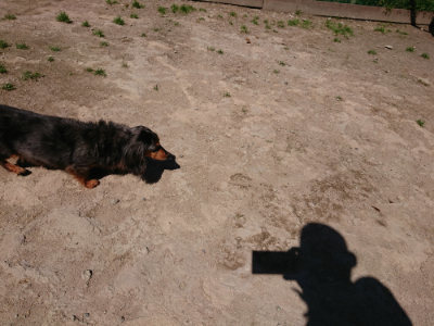 f:id:roukenhome-ann:20190509141021j:plain