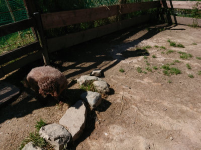 f:id:roukenhome-ann:20190509141026j:plain