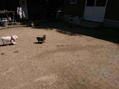 f:id:roukenhome-ann:20190509141030j:plain