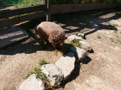 f:id:roukenhome-ann:20190509141042j:plain