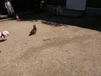 f:id:roukenhome-ann:20190509141047j:plain