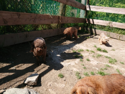 f:id:roukenhome-ann:20190509141052j:plain