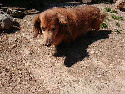 f:id:roukenhome-ann:20190509141057j:plain