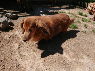 f:id:roukenhome-ann:20190509141103j:plain