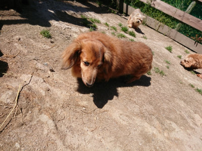 f:id:roukenhome-ann:20190509141107j:plain