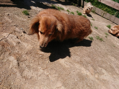 f:id:roukenhome-ann:20190509141111j:plain