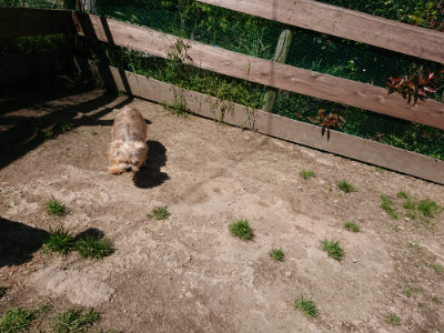 f:id:roukenhome-ann:20190509141116j:plain