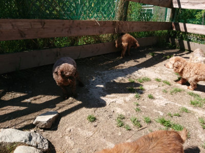 f:id:roukenhome-ann:20190509141122j:plain