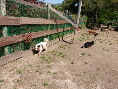 f:id:roukenhome-ann:20190509141133j:plain