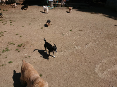 f:id:roukenhome-ann:20190509141147j:plain