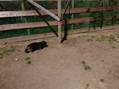 f:id:roukenhome-ann:20190509141152j:plain