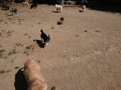 f:id:roukenhome-ann:20190509141156j:plain