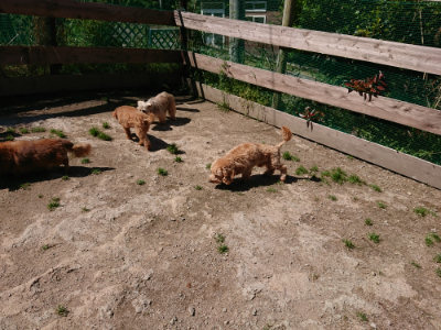 f:id:roukenhome-ann:20190509141202j:plain