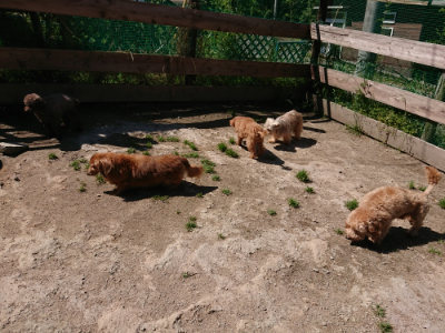 f:id:roukenhome-ann:20190509141207j:plain