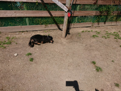 f:id:roukenhome-ann:20190509141214j:plain
