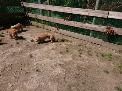 f:id:roukenhome-ann:20190509141219j:plain