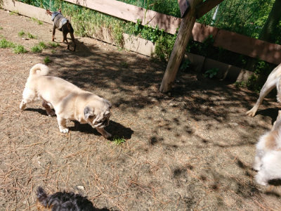 f:id:roukenhome-ann:20190509141518j:plain