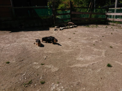 f:id:roukenhome-ann:20190509141523j:plain