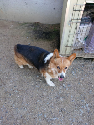 f:id:roukenhome-ann:20190509141545j:plain