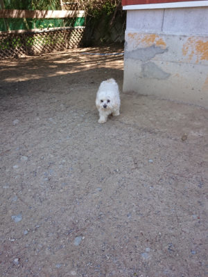 f:id:roukenhome-ann:20190509141613j:plain