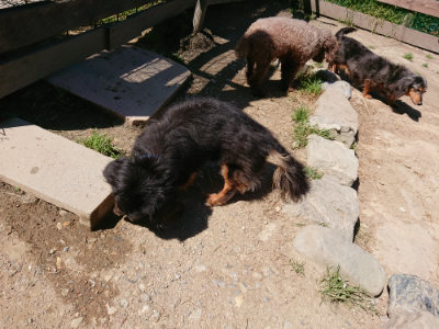 f:id:roukenhome-ann:20190509141618j:plain