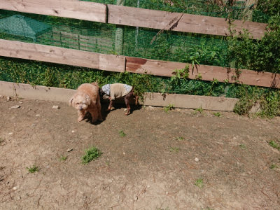 f:id:roukenhome-ann:20190509141625j:plain