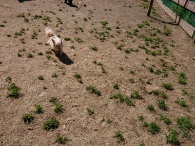 f:id:roukenhome-ann:20190509141632j:plain