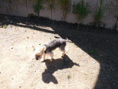 f:id:roukenhome-ann:20190509141644j:plain