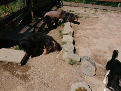 f:id:roukenhome-ann:20190509141700j:plain