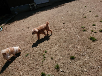 f:id:roukenhome-ann:20190509141712j:plain