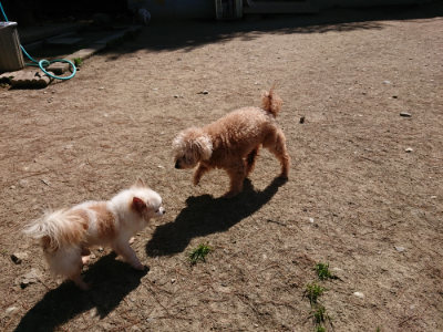 f:id:roukenhome-ann:20190509141722j:plain
