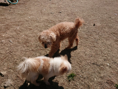 f:id:roukenhome-ann:20190509141728j:plain