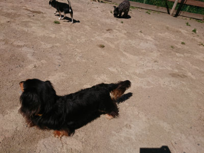 f:id:roukenhome-ann:20190509141752j:plain