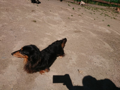f:id:roukenhome-ann:20190509141758j:plain