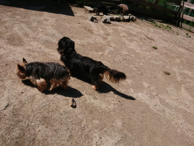 f:id:roukenhome-ann:20190509141808j:plain