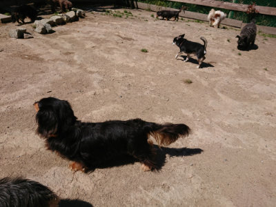 f:id:roukenhome-ann:20190509141813j:plain