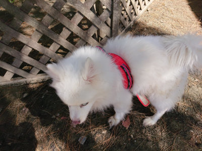 f:id:roukenhome-ann:20190509141819j:plain