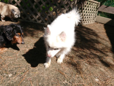 f:id:roukenhome-ann:20190509141824j:plain