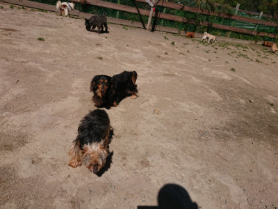 f:id:roukenhome-ann:20190509141835j:plain