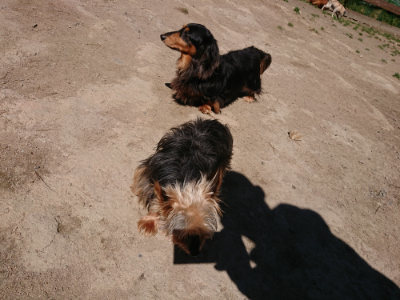 f:id:roukenhome-ann:20190509141846j:plain