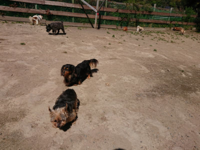 f:id:roukenhome-ann:20190509141852j:plain