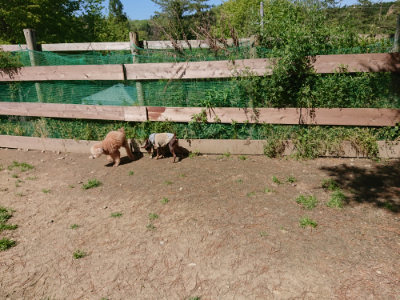 f:id:roukenhome-ann:20190509141901j:plain