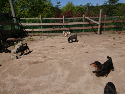 f:id:roukenhome-ann:20190509141927j:plain
