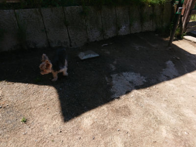 f:id:roukenhome-ann:20190509141933j:plain