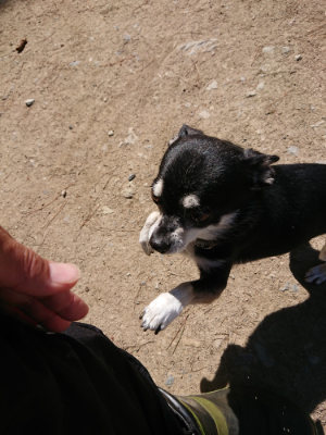 f:id:roukenhome-ann:20190509141942j:plain