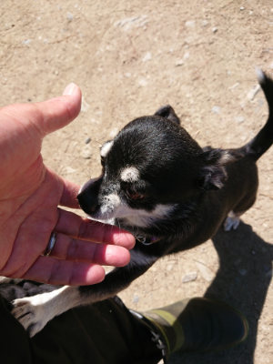 f:id:roukenhome-ann:20190509141958j:plain