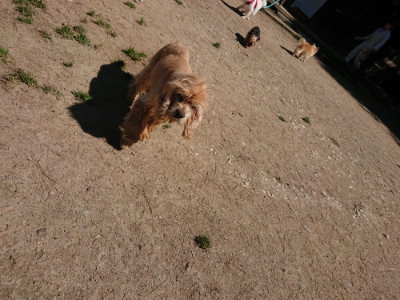 f:id:roukenhome-ann:20190509142008j:plain