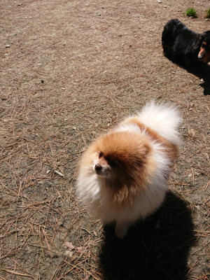 f:id:roukenhome-ann:20190509142013j:plain